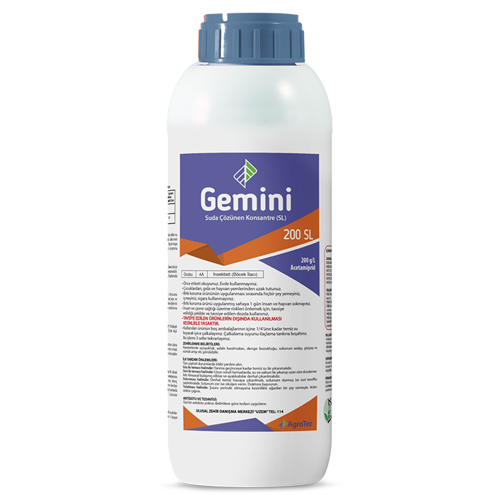 gemini-20-sl