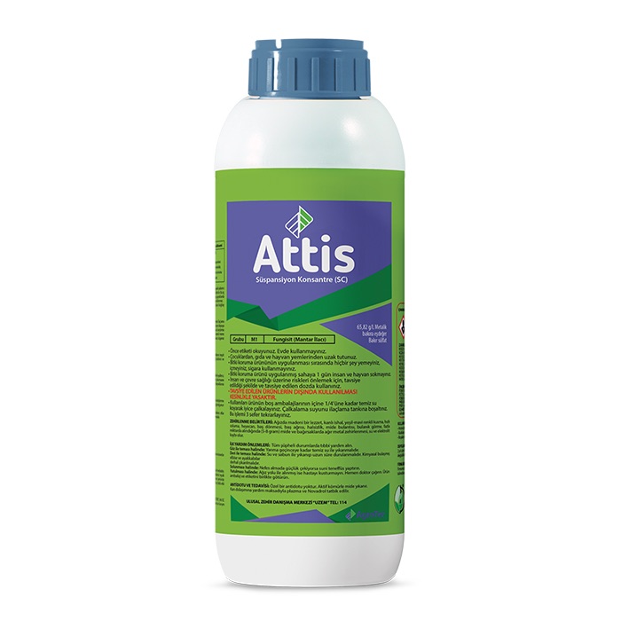 Attis 1LT