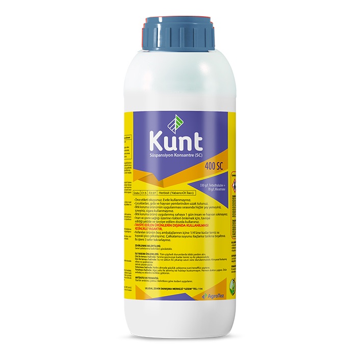 Kunt